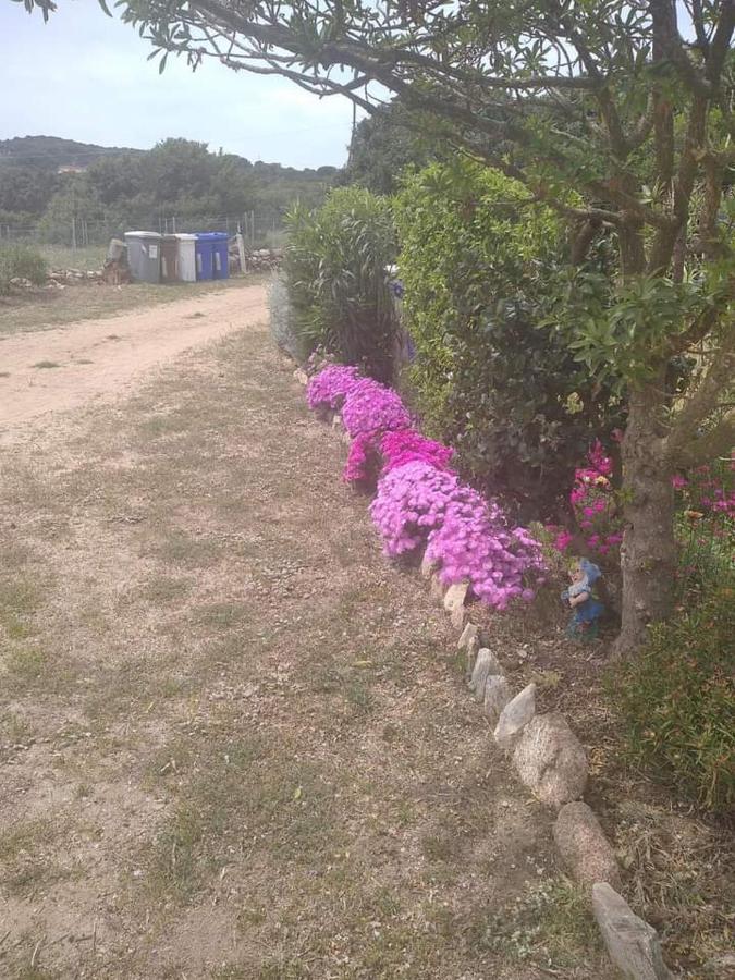 B&B Li Salcuneddi Aglientu Εξωτερικό φωτογραφία