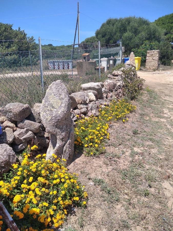 B&B Li Salcuneddi Aglientu Εξωτερικό φωτογραφία
